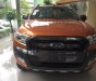 Ford Ranger Wildtrak 3.2L 4x4 AT 2017 - Cần bán Ford Ranger Wildtrak 3.2L 4x4 AT sản xuất năm 2017, nhập khẩu nguyên chiếc