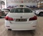 BMW 5 Series 520i 2016 - Cần bán gấp BMW 5 Series 520i năm 2016, màu trắng, nhập khẩu nguyên chiếc số tự động