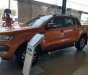 Ford Ranger Wildtrak 3.2L 4x4 AT 2018 - Bán xe Ford Ranger Wildtrack 3.2L 4x4 A sản xuất năm 2018, nhập khẩu