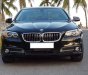 BMW 5 Series 520i 2016 - Bán xe BMW 5 Series năm sản xuất 2016, màu đen, nhập khẩu