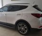 Hyundai Santa Fe  CRDi 2017 - Bán Hyundai Santa Fe CRDi năm sản xuất 2017, màu trắng, giá 995tr
