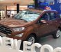 Ford EcoSport Titanium 1.5L AT 2018 - Bán Ford EcoSport Titanium 1.5L AT sản xuất 2018, màu nâu, giá tốt