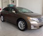 Toyota Venza 2.7 2010 - Bán Toyota Venza 2.7 năm sản xuất 2010, màu nâu, nhập khẩu như mới, 925 triệu