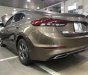Hyundai Elantra 2017 - Bán Hyundai Elantra sản xuất 2017, màu nâu, 515 triệu