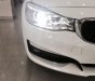 BMW 3 Series 320i GT 2014 - Bán xe BMW 3 Series 320i GT đời 2014, màu trắng, nhập khẩu