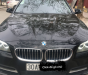 BMW 5 Series  520i 2013 - Bán BMW 5 Series 520i sản xuất 2013, màu đen