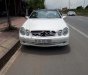 Mercedes-Benz CLK class CLK 320 2005 - Bán ô tô Mercedes CLK 320 sản xuất năm 2005, màu trắng, nhập khẩu số tự động, 650 triệu