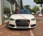 Audi A1   AT  2016 - Bán ô tô Audi A1 AT năm 2016, nhập khẩu