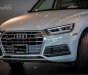 Audi Q5 Premium 2018 - Bán Audi Q5 Premium 2018, màu trắng, xe nhập