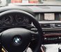 BMW 5 Series  520i  2016 - Bán xe BMW 5 Series 520i đời 2017, màu đen, xe nhập