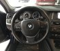 BMW 5 Series 520i 2016 - Bán BMW 520i xanh_đen, sản xuất cuối 2016, model 2017