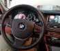 BMW 5 Series 528i 2015 - Bán BMW 5 Series 528i đời 2015, màu trắng, xe nhập