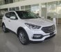 Hyundai Santa Fe 2018 - Bán xe Hyundai Santa Fe -ưu đãi lớn tại Hyundai Cao Bằng