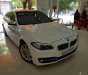 BMW 5 Series 528i 2015 - Bán BMW 5 Series 528i đời 2015, màu trắng, xe nhập