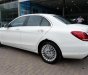 Mercedes-Benz C class C250 Exclsip 2016 - Bán Mercedes C250 Exclsip sản xuất 2016, màu trắng