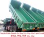 Xe tải Trên 10 tấn Howo 2017 - Cần bán xe Ben Howo 3 chân (371Hp), thùng 10 khối, trả góp+ duyệt nhanh