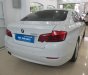 BMW 5 Series  520i 2013 - Bán BMW 5 Series 520i đời 2013, màu trắng, nhập khẩu  