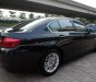 BMW 5 Series 520i 2014 - Bán BMW 5 Series 520i đời 2014, màu đen, nhập khẩu