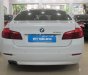 BMW 5 Series  520i 2013 - Bán BMW 5 Series 520i đời 2013, màu trắng, nhập khẩu  