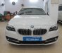 BMW 5 Series  520i 2013 - Bán BMW 5 Series 520i đời 2013, màu trắng, nhập khẩu  