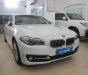 BMW 5 Series  520i 2013 - Bán BMW 5 Series 520i đời 2013, màu trắng, nhập khẩu  