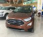 Ford EcoSport Ecoboost 1.0 AT 2018 - Bán Ford EcoSport Ecoboost đời 2018, màu nâu tại Cao Bằng