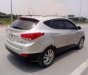 Hyundai Tucson LX20 2010 - Bán ô tô Hyundai Tucson LX20 đời 2010, màu bạc, nhập khẩu