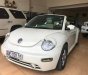 Volkswagen Beetle 2.5 2004 - Cần bán xe Volkswagen Beetle 2.5 2004, màu nâu, xe nhập, 360tr