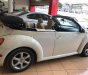 Volkswagen Beetle 2.5 2004 - Cần bán xe Volkswagen Beetle 2.5 2004, màu nâu, xe nhập, 360tr