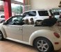 Volkswagen Beetle 2.5 2004 - Cần bán xe Volkswagen Beetle 2.5 2004, màu nâu, xe nhập, 360tr