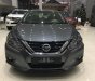 Nissan Teana 2.5 SL 2017 - Cần bán Nissan Teana 2.5 SL đời 2017, màu xám, nhập khẩu