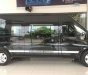 Ford Transit Limousine  2018 - Bán Ford Transit Limousine (Kingdom), giao ngay tháng 5