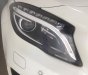 Mercedes-Benz GL Cũ Mercedes-Benz A 250 2015 - Xe Cũ Mercedes-Benz GLA 250 2015