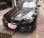 BMW 5 Series 520i 2013 - Bán BMW 5 Series 520i sản xuất năm 2013, màu nâu, nhập khẩu nguyên chiếc như mới