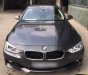 BMW 3 Series 320i 2015 - Bán BMW 3 Series 320i sản xuất 2015, màu xám (ghi), nhập khẩu nguyên chiếc