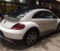 Volkswagen Beetle 2017 - Cần bán xe Volkswagen Beetle năm sản xuất 2017, màu trắng, nhập khẩu