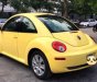 Volkswagen Beetle   2.5 AT  2007 - Cần bán xe Volkswagen Beetle 2.5 AT đời 2007, xe nhập 