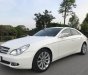 Mercedes-Benz CLS class 2009 - Bán Mercedes sản xuất năm 2009, màu trắng, nhập khẩu chính chủ