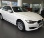 BMW 3 Series 320i 2017 - Cần bán BMW 3 Series 320i sản xuất 2017, màu trắng, nhập khẩu