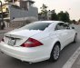 Mercedes-Benz CLS class 2009 - Bán Mercedes sản xuất năm 2009, màu trắng, nhập khẩu chính chủ