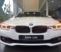 BMW 3 Series 320i 2017 - Cần bán BMW 3 Series 320i sản xuất 2017, màu trắng, nhập khẩu