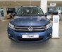Volkswagen Tiguan 2018 - [Hot] [ Siêu phẩm Đức 2018 ] Nàng Volkswagen Tiguan All Space 2.0 - Sang trọng sánh vai với các anh Đồng Nai