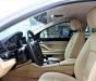 BMW 5 Series 520i 2015 - Bán BMW 5 Series 520i sản xuất năm 2015, màu trắng, nhập khẩu