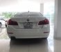 BMW 5 Series 520i 2014 - Cần bán xe BMW 5 Series 520i năm sản xuất 2014, màu trắng, nhập khẩu nguyên chiếc