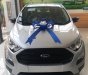 Ford EcoSport Trend MT 2018 - Bán Ford EcoSport Trend MT sản xuất 2018, màu trắng 