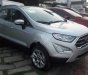 Ford EcoSport Titanium 2018 - Bán Ford EcoSport Titanium đời 2018, màu bạc