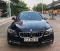 BMW 5 Series 520i 2014 - Bán BMW 5 Series 520i năm 2014, màu đen, xe nhập