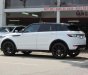 LandRover Evoque 2014 màu trắng 2014 - LandRover Evoque 2014 màu trắng