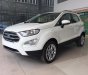 Ford EcoSport Titanium 1.5L AT 2018 - Cần bán gấp xe Ford EcoSport, xe sản xuất tháng 5/2018, đủ màu xe và xe giao ngay, LH: 0918889278