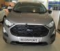 Ford EcoSport MT   2018 - Bán Ford EcoSport MT năm sản xuất 2018, màu xám, giá 540tr